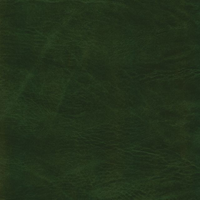 Tekenmap Syrte Forest | A4 - Tekenmappen.nl