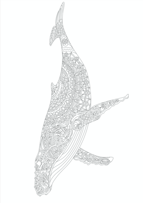 XL kleurplaat 'Whale'